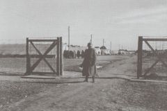 Stalag IIIB Amtitz-obóz namiotowy-brama główna