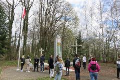 Projekt Silni Polską